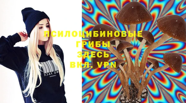 ECSTASY Осинники